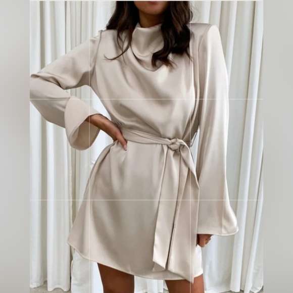 Pretty Lavish Jayda Cowl Neck Dress- Oyster S/M - Picture 3 of 8